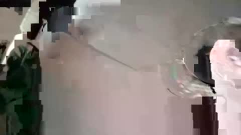 Snapshot of houndmefromhell chatting on 4, 12, 2024 houndmefromhell online show from 4, 12, 2024