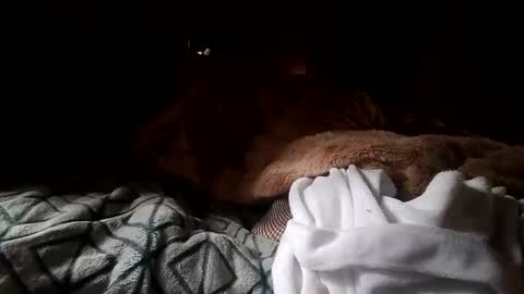 Snapshot of houndmefromhell chatting on 25, 12, 2024 houndmefromhell online show from 25, 12, 2024