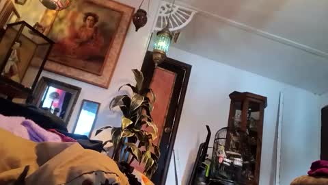 Snapshot of houndmefromhell chatting on 5, 3, 2025 houndmefromhell online show from 5, 3, 2025