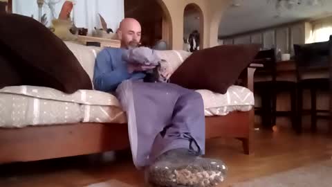 Snapshot of houndmefromhell chatting on 6, 3, 2025 houndmefromhell online show from 6, 3, 2025