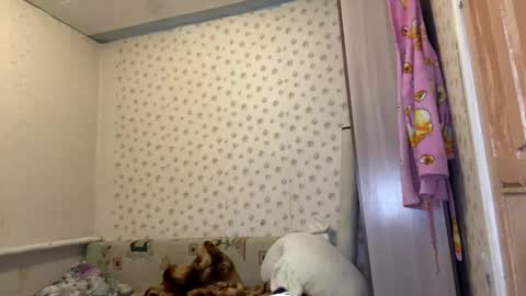 Snapshot of hsiuscherich chatting on 12, 1, 2026 hsiuscherich online show from 12, 1, 2026