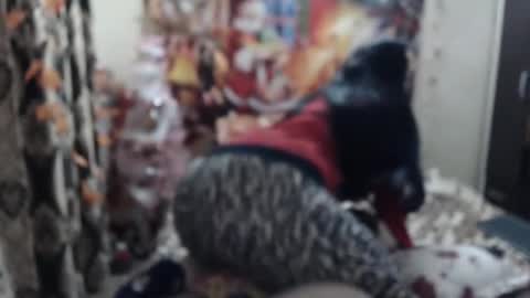 Snapshot of hugeassdevil chatting on 23, 1, 2025 hugeassdevil online show from 23, 1, 2025