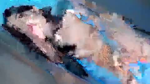 Snapshot of hugecockyanny chatting on 3, 2, 2025 Yhanie online show from 3, 2, 2025