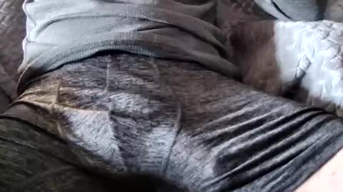 Snapshot of hugepecker131 chatting on 18, 12, 2025 hugepecker131 online show from 18, 12, 2025