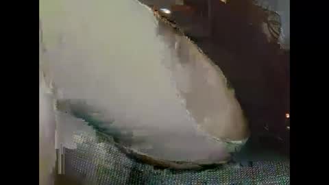 hujiajia520321431 online show from 19, 11, 2025