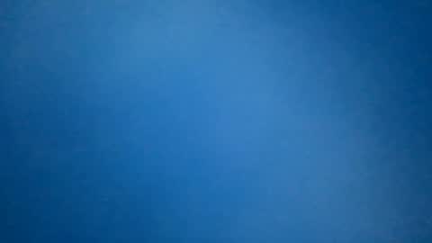 hummelbummel00 online show from 11, 2, 2026