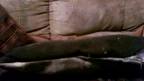 Snapshot of hungc2c420 chatting on 3, 3, 2026 hung420boner online show from 3, 3, 2026