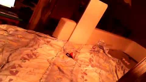 hungryanalslut online show from 18, 2, 2025