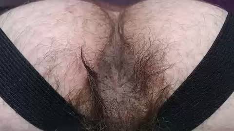  I AM NOT A DIRECTOR I AM THE BOSS            KINGDADDYSIRSTR8ALPHAMASTER online show from 2, 7, 2026