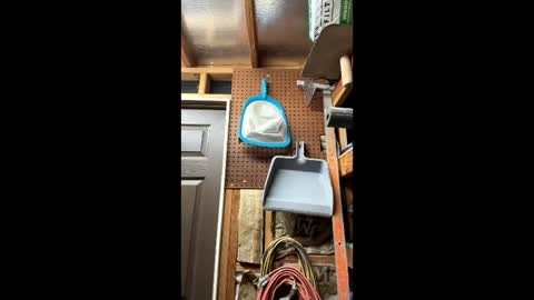 huskey300 online show from 6, 3, 2026