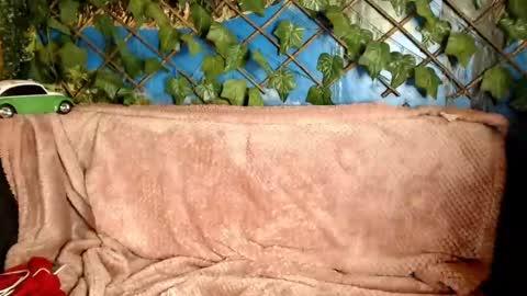 Snapshot of hustle6930 chatting on 21, 12, 2024 Kayla online show from 21, 12, 2024