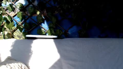 Snapshot of hustle6930 chatting on 3, 3, 2025 Kayla online show from 3, 3, 2025