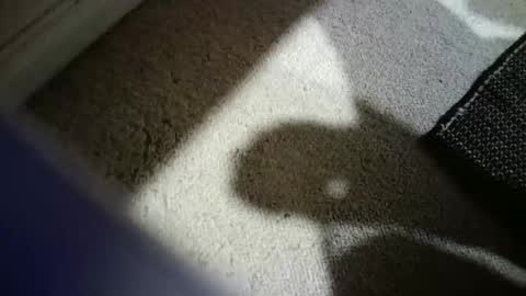 Hypeman online show from 14, 2, 2026