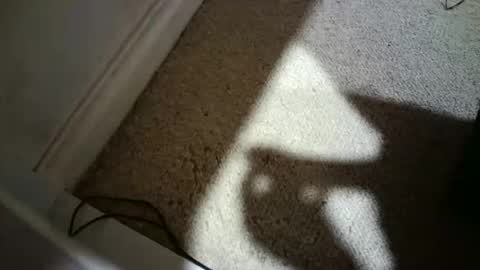 Hypeman online show from 17, 2, 2026