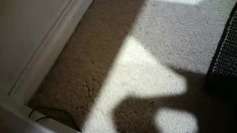 Hypeman online show from 18, 2, 2026