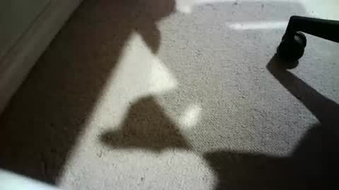 Hypeman online show from 24, 2, 2026