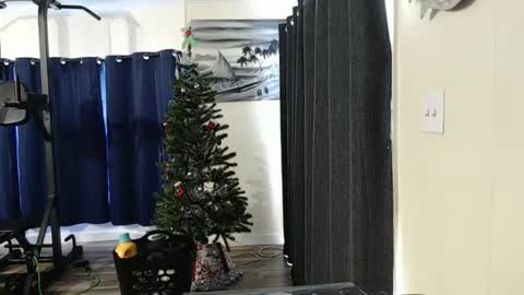 Snapshot of i_fetishize_u chatting on 5, 1, 2025 ShortStuff online show from 5, 1, 2025