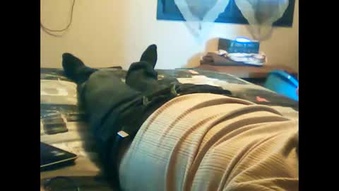 Snapshot of iagreeto chatting on 3, 2, 2025 iagreeto online show from 3, 2, 2025