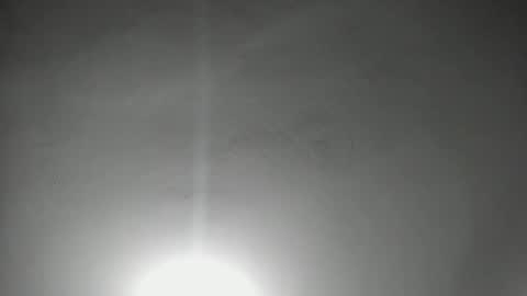 NAHO online show from 8, 3, 2026