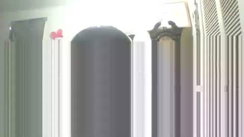 I LOVE  MY   COCONUT   EAT  MY   COCONUTS online show from 13, 9, 2025