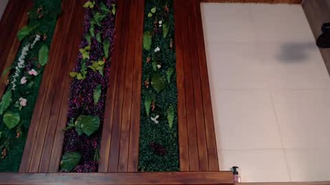 Ian Davis online show from 4, 3, 2025