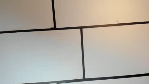 Ian Lark online show from 16, 5, 2026