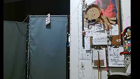 PMS online show from 31, 12, 2024