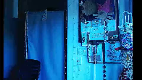 PMS online show from 1, 1, 2025