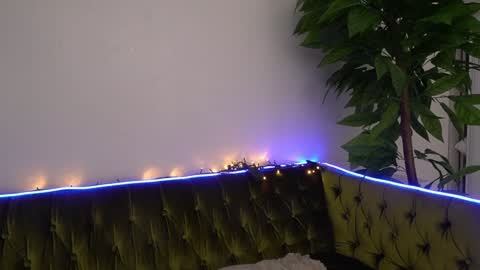 Danielle online show from 8, 2, 2025