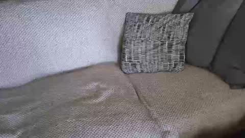 SnowTiger online show from 19, 2, 2026