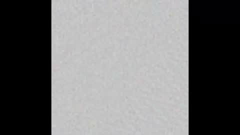 DrDoll online show from 12, 1, 2026