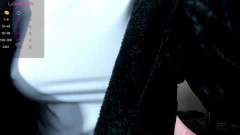 Snapshot of illegal_lorry chatting on 30, 12, 2024 illegal_lorry online show from 30, 12, 2024