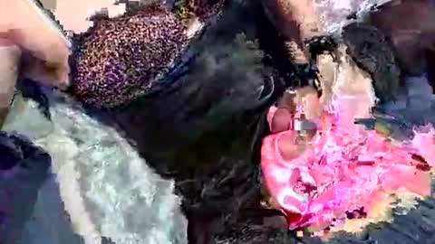 imabigolperv online show from 2, 3, 2026