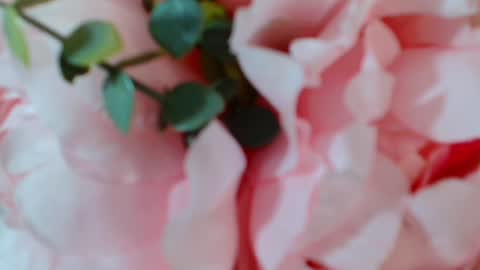 Snapshot of imcarrieberry chatting on 25, 1, 2025 Carrie online show from 25, 1, 2025