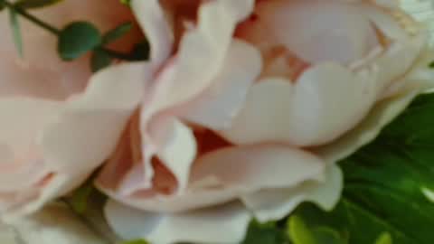 Snapshot of imcarrieberry chatting on 1, 3, 2025 Carrie online show from 1, 3, 2025