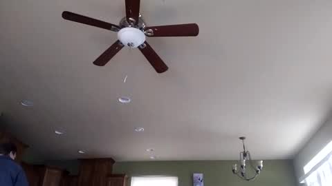 Iminyourroom online show from 31, 1, 2025