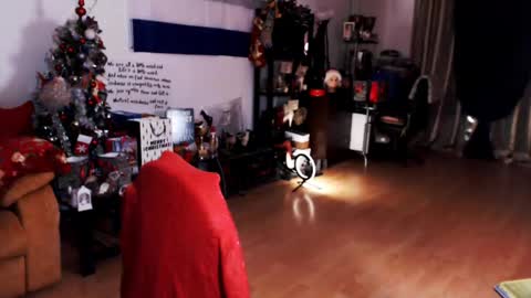 Snapshot of imperatrizasado chatting on 21, 12, 2024 Empress online show from 21, 12, 2024