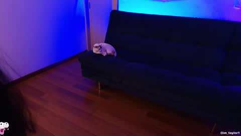 Snapshot of imtaylor__ chatting on 24, 10, 2025 TAYLOR online show from 24, 10, 2025