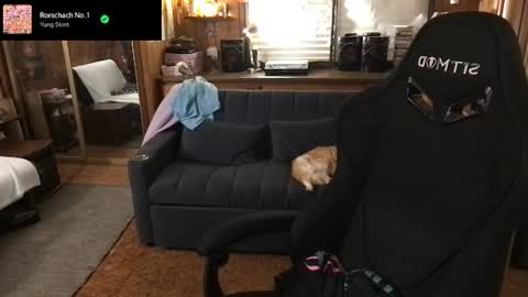 Snapshot of incognitoqueen chatting on 31, 7, 2026 Carter online show from 31, 7, 2026