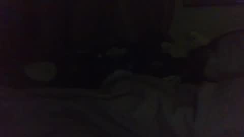 indigo_scorpio online show from 22, 2, 2025