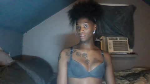 kendaLin online show from 28, 6, 2026