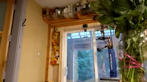 sir. Grummps online show from 14, 2, 2026