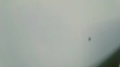 Inglorious Hairy Uncut online show from 16, 2, 2025