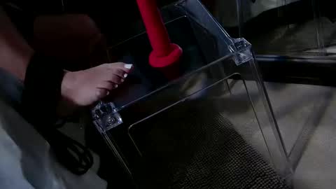 Snapshot of insatiablecpl333 chatting on 20, 1, 2025 InsatiableCpl333 online show from 20, 1, 2025