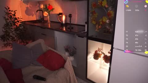 Irena Barr online show from 13, 11, 2025