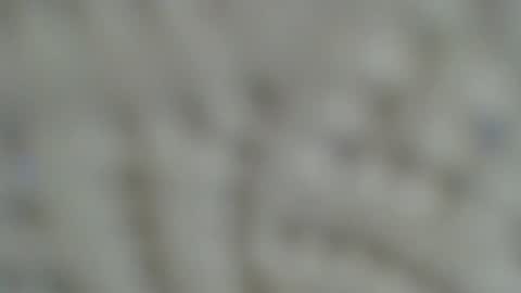 Snapshot of irishdude2483 chatting on 15, 1, 2025 Irishdude2483 online show from 15, 1, 2025