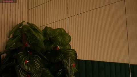 Snapshot of irisnightshade chatting on 31, 10, 2025 Maria online show from 31, 10, 2025