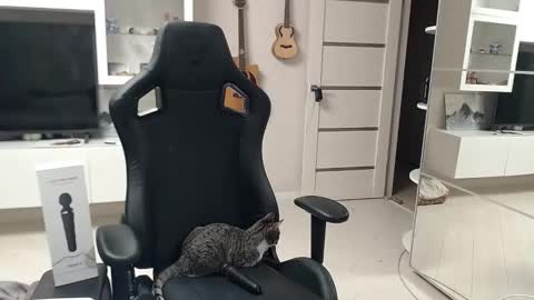 Snapshot of irwi_tomboy chatting on 26, 12, 2024 Irwi Tomboy online show from 26, 12, 2024