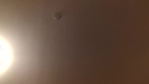 Isabella online show from 9, 12, 2024