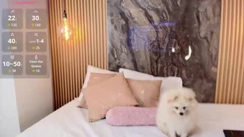 Snapshot of isadora_14 chatting on 13, 10, 2025 ISADORA online show from 13, 10, 2025